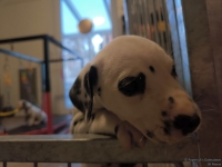 IMG_20250203_082032_web