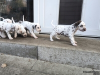 IMG_20250203_154348_web