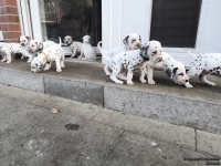 IMG_20250203_154350_web