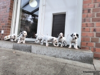 IMG_20250203_154400_web