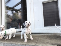 IMG_20250203_154405_web