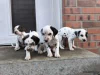 IMG_20250203_154413_web