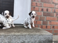 IMG_20250203_154433_web