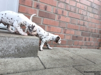 IMG_20250203_154436_web