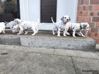 IMG_20250203_154454_web