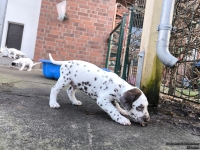 IMG_20250203_154516_web