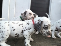 IMG_20250203_154715_web