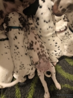 IMG_20250203_225630_web