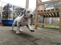 IMG_20250204_091122_web