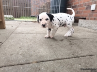 IMG_20250204_091131_1_web