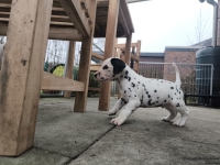 IMG_20250204_091159_web