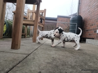 IMG_20250204_091204_1_web