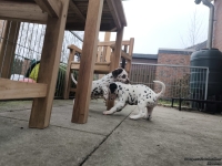 IMG_20250204_091204_web