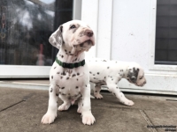 IMG_20250204_091353_web