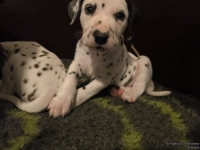 IMG_20250204_171227_web