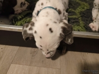 IMG_20250204_173007_web