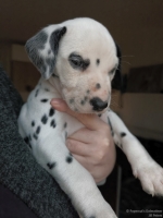 IMG_20250203_161858_web