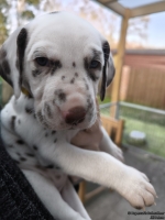 IMG_20250203_154823_web