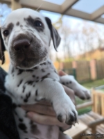 IMG_20250203_154836_web