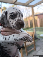 IMG_20250203_154902_web