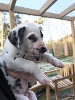 IMG_20250203_154932_web