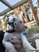 IMG_20250203_154949_web