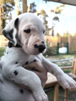 IMG_20250203_154951_1_web