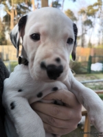 IMG_20250203_154955_web