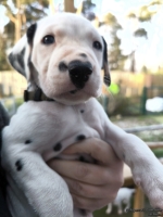 IMG_20250203_154957_web