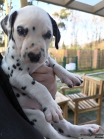 IMG_20250203_155019_web