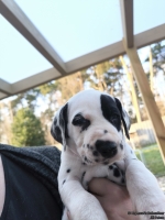 IMG_20250203_155028_web