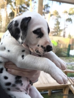 IMG_20250203_155033_web