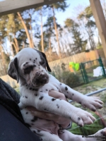 IMG_20250203_155118_1_web