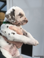 IMG_20250203_155231_web