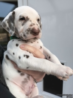 IMG_20250203_155232_web