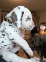 IMG_20250203_161311_web