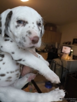 IMG_20250203_161317_web