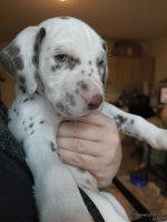 IMG_20250203_161448_web