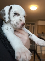 IMG_20250203_161458_web