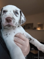 IMG_20250203_161501_web