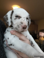 IMG_20250203_161512_web