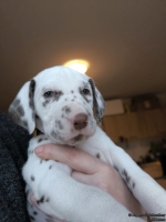 IMG_20250203_161520_web