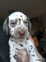 IMG_20250203_162256_web