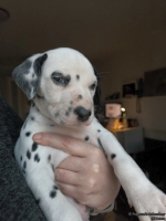 IMG_20250203_161903_web