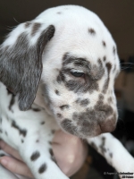 IMG_20250203_162259_web