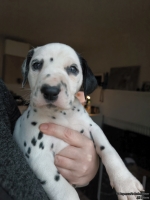 IMG_20250203_161904_web