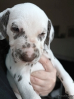 IMG_20250203_161935_web