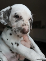 IMG_20250203_161941_web