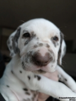 IMG_20250203_161956_web