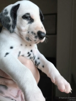 IMG_20250203_162029_web